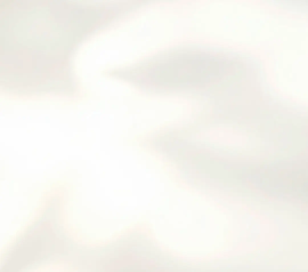 Cream Shadow background.webp