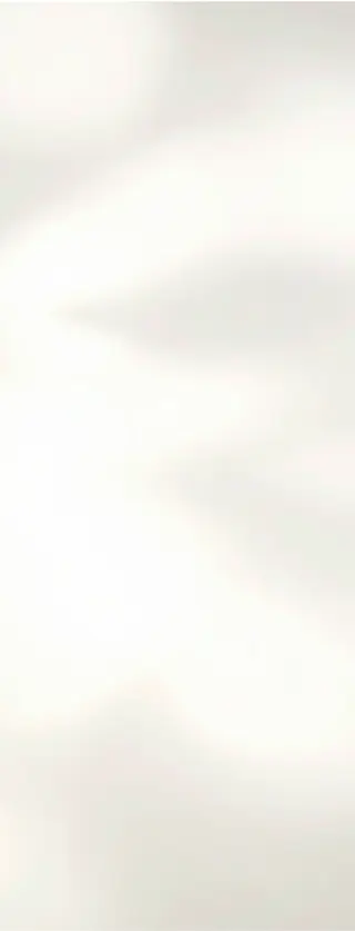 Cream Shadow background.webp