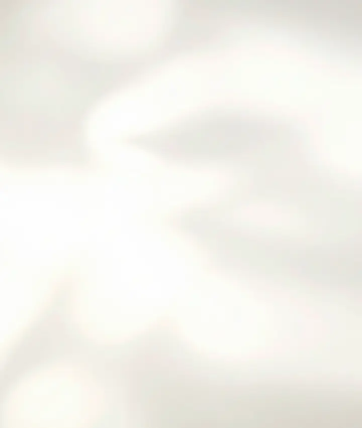 Cream Shadow background.webp