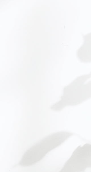 Shadows on the Wall_edited.png