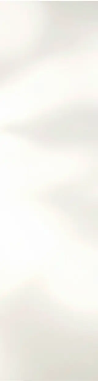 Cream Shadow background.webp