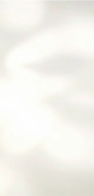 Cream Shadow background.webp