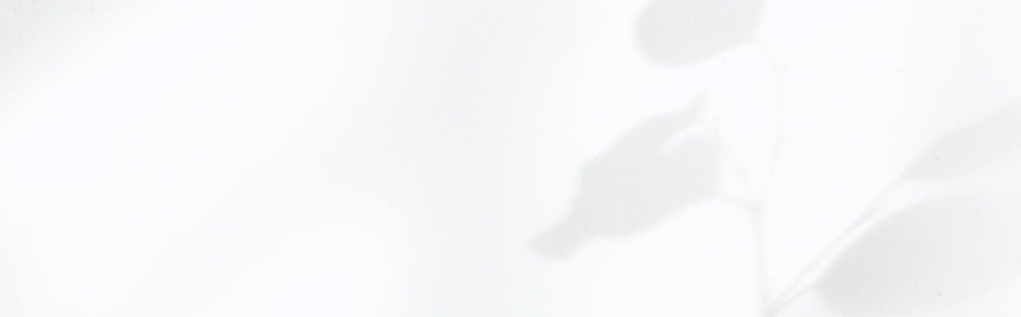 Shadows on the Wall_edited.png
