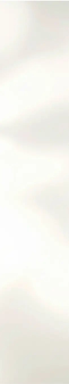 Cream Shadow background.webp
