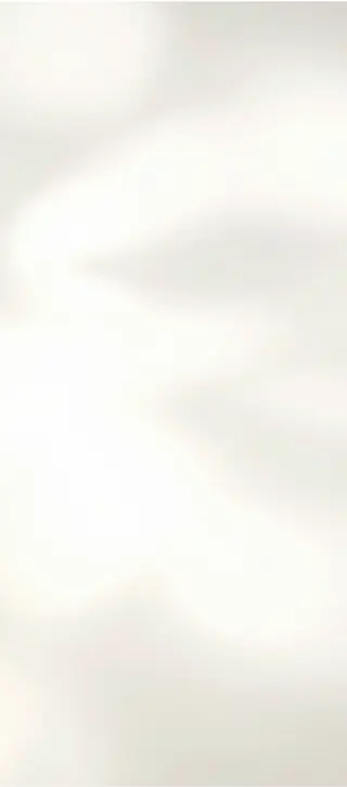 Cream Shadow background.webp