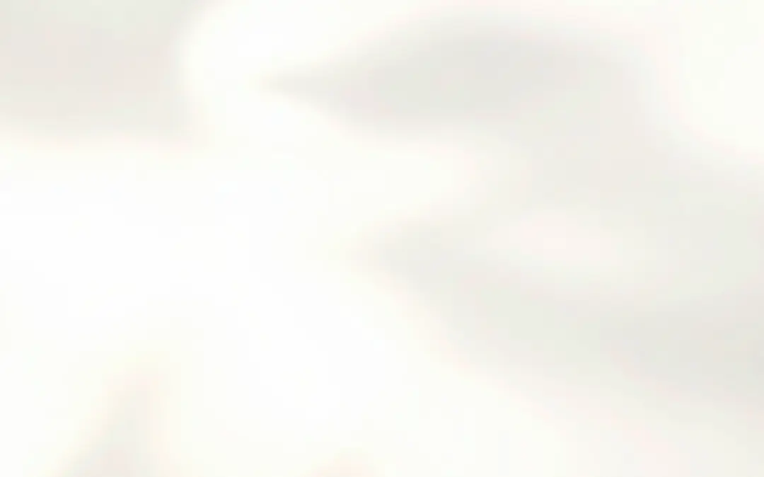 Cream Shadow background.webp