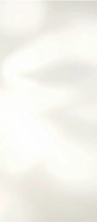 Cream Shadow background.webp