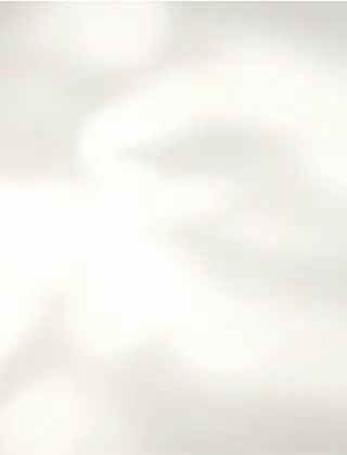 Cream Shadow background.webp