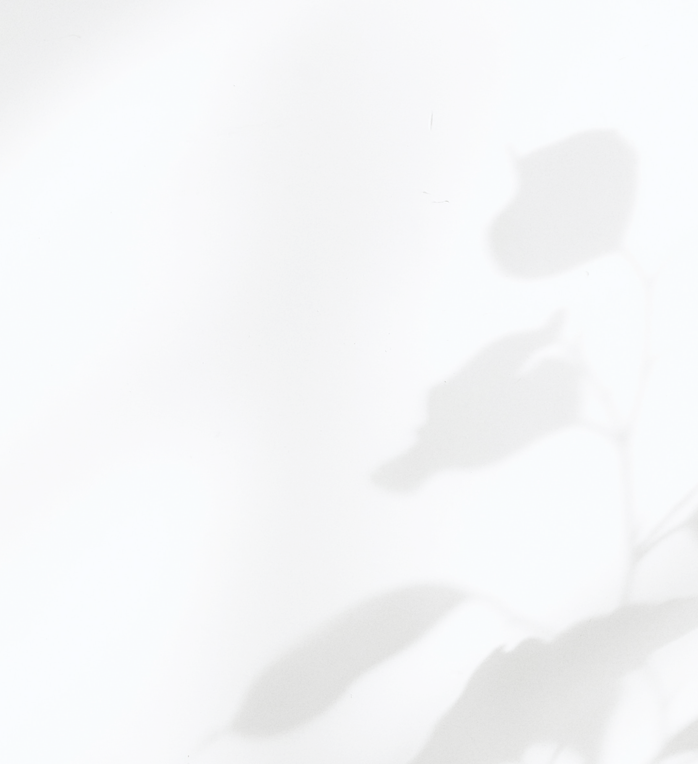 Shadows on the Wall_edited.png