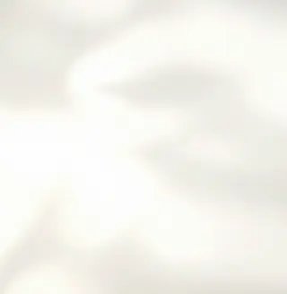 Cream Shadow background.webp