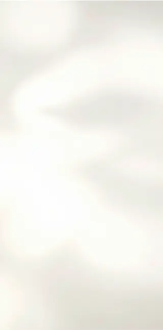 Cream Shadow background.webp