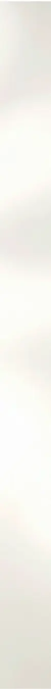 Cream Shadow background.webp