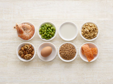 Choosing your protein source