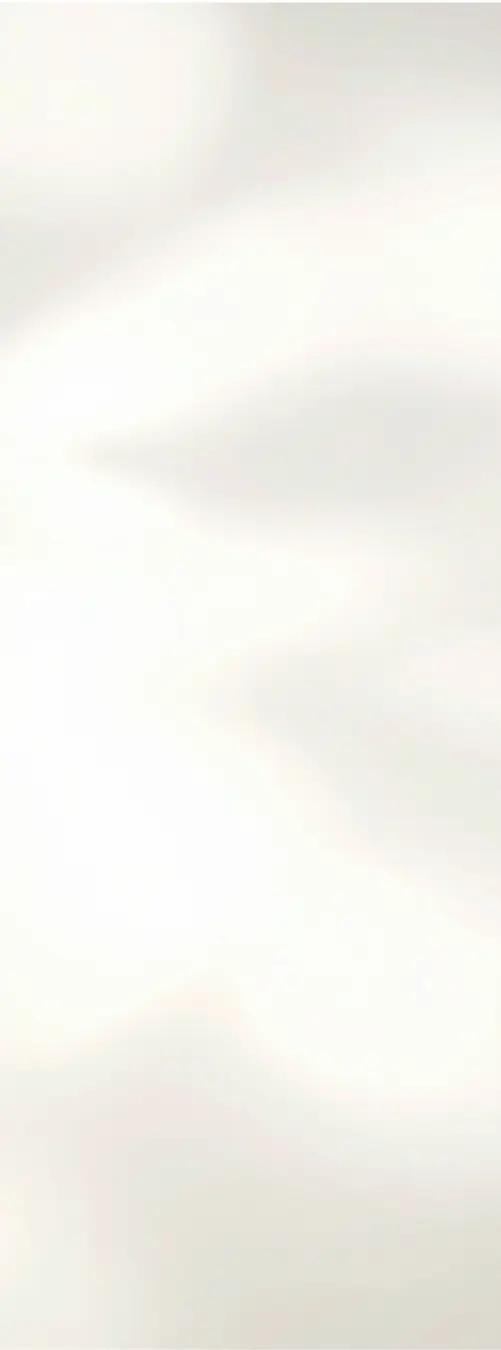 Cream Shadow background.webp