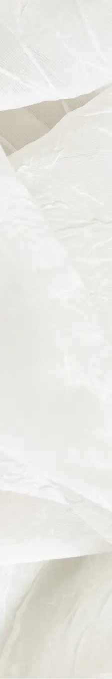 Cream linens background.webp