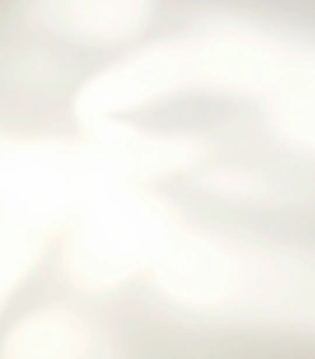 Cream Shadow background.webp