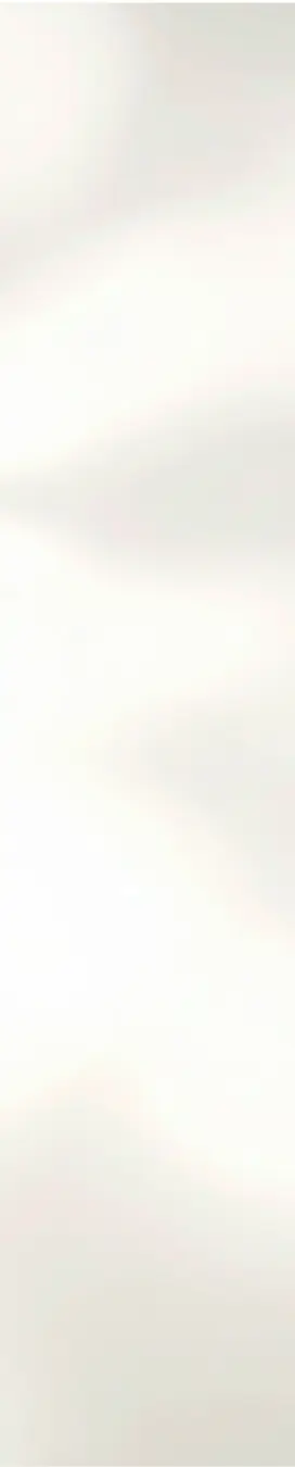 Cream Shadow background.webp