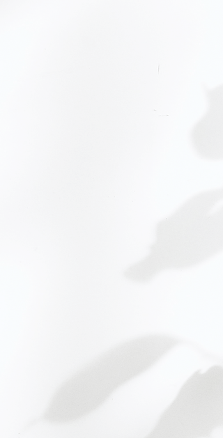 Shadows on the Wall_edited.png