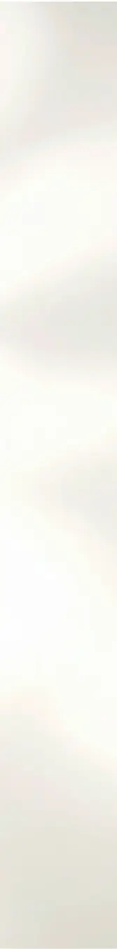 Cream Shadow background.webp