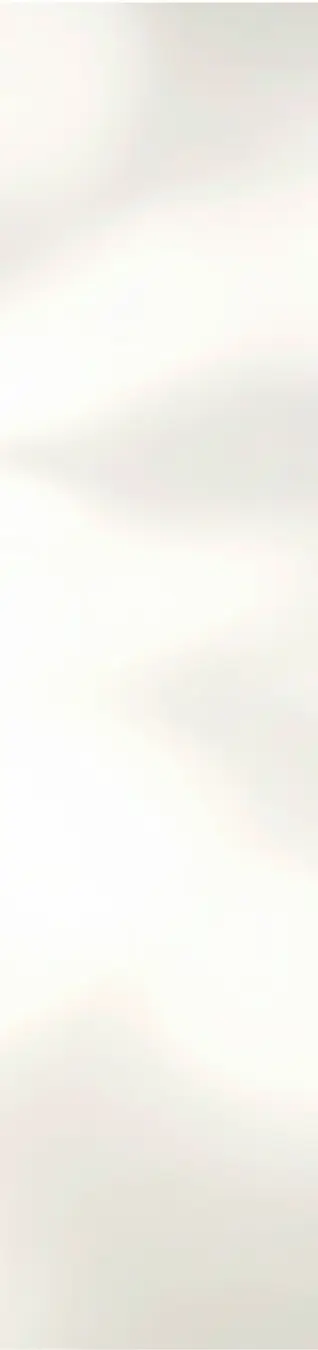 Cream Shadow background.webp