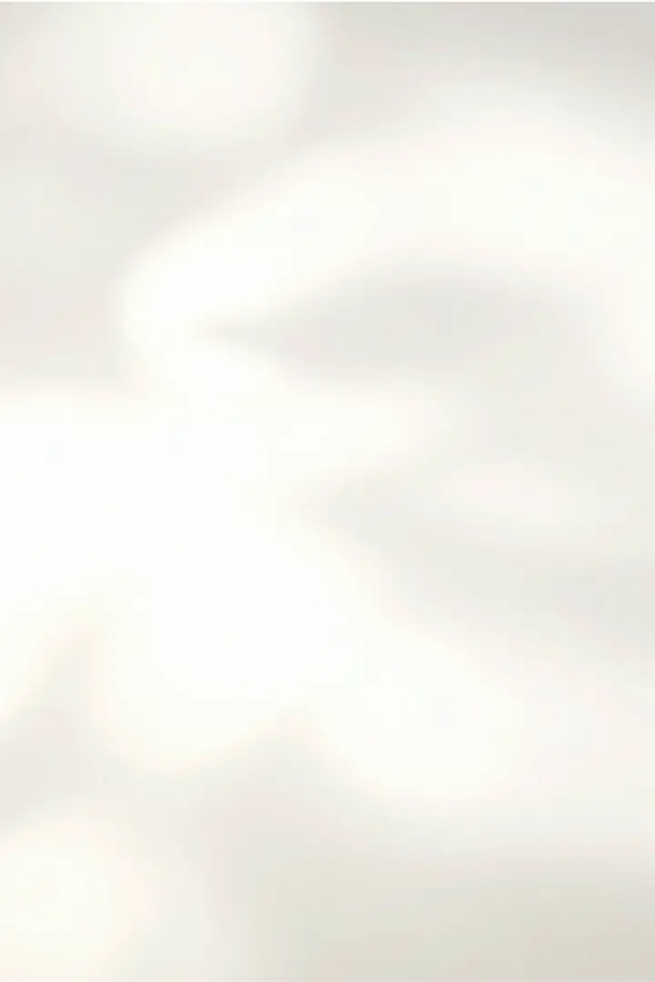 Cream Shadow background.webp
