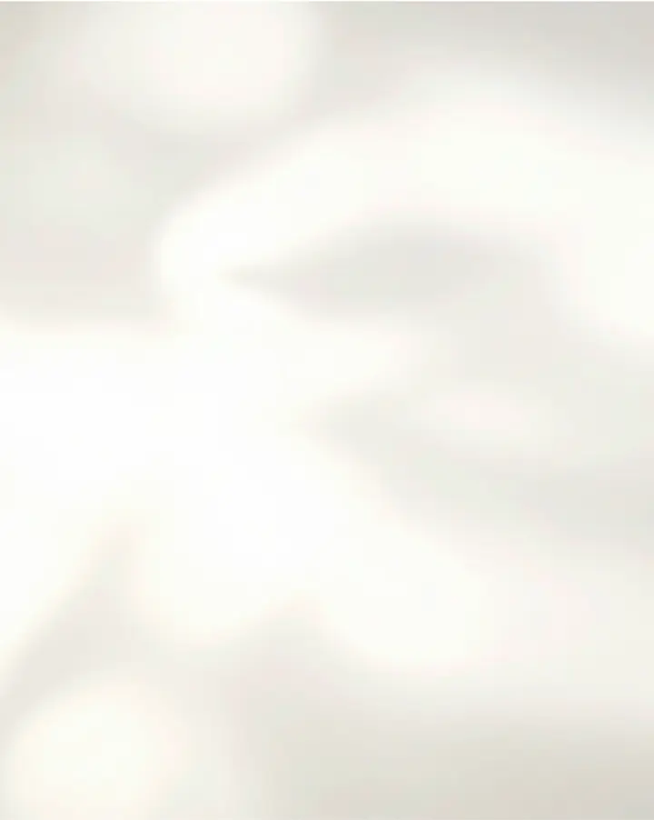 Cream Shadow background.webp
