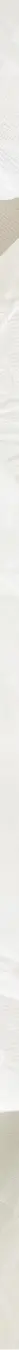 Cream linens background.webp