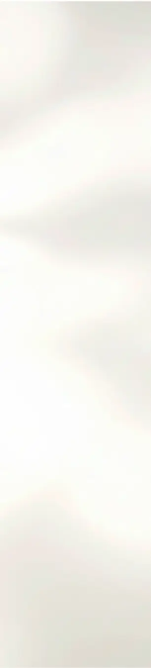 Cream Shadow background.webp