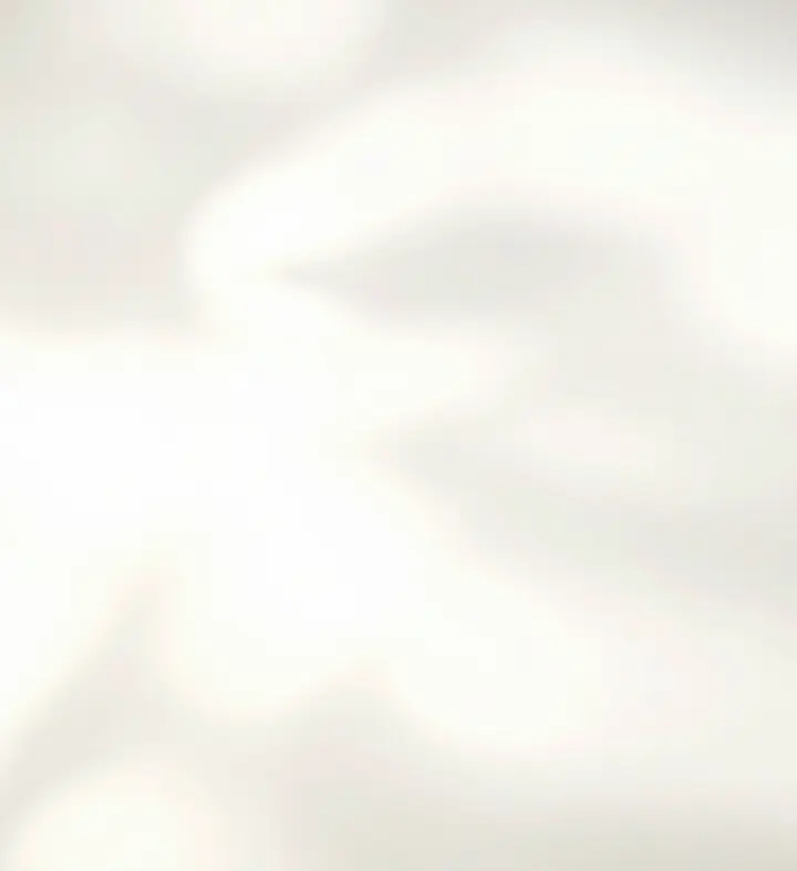 Cream Shadow background.webp