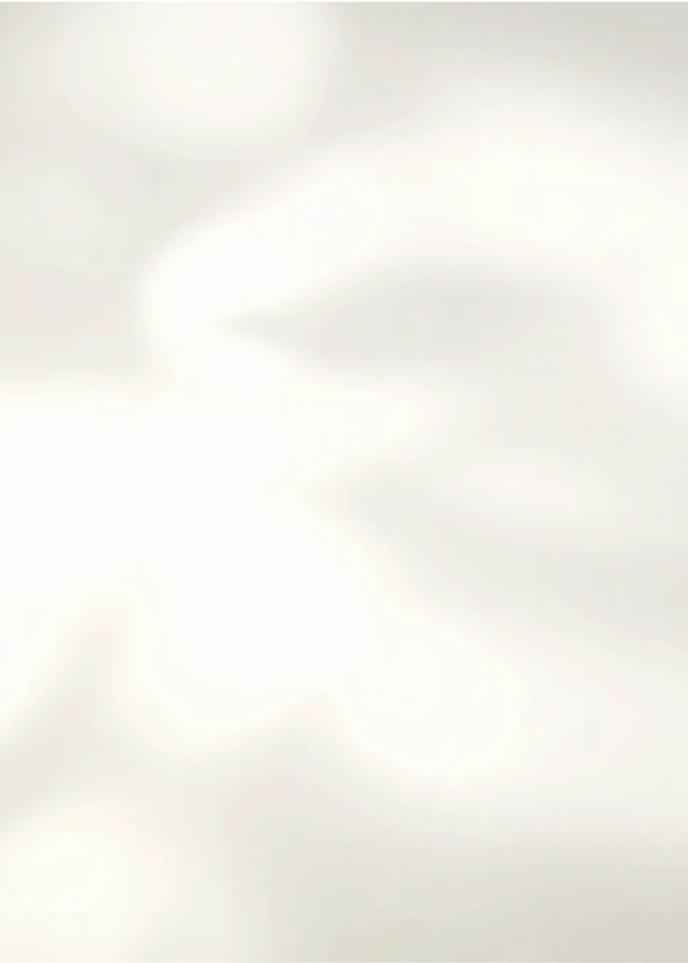Cream Shadow background.webp