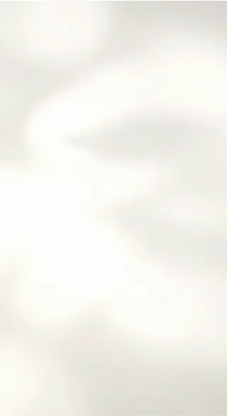 Cream Shadow background.webp