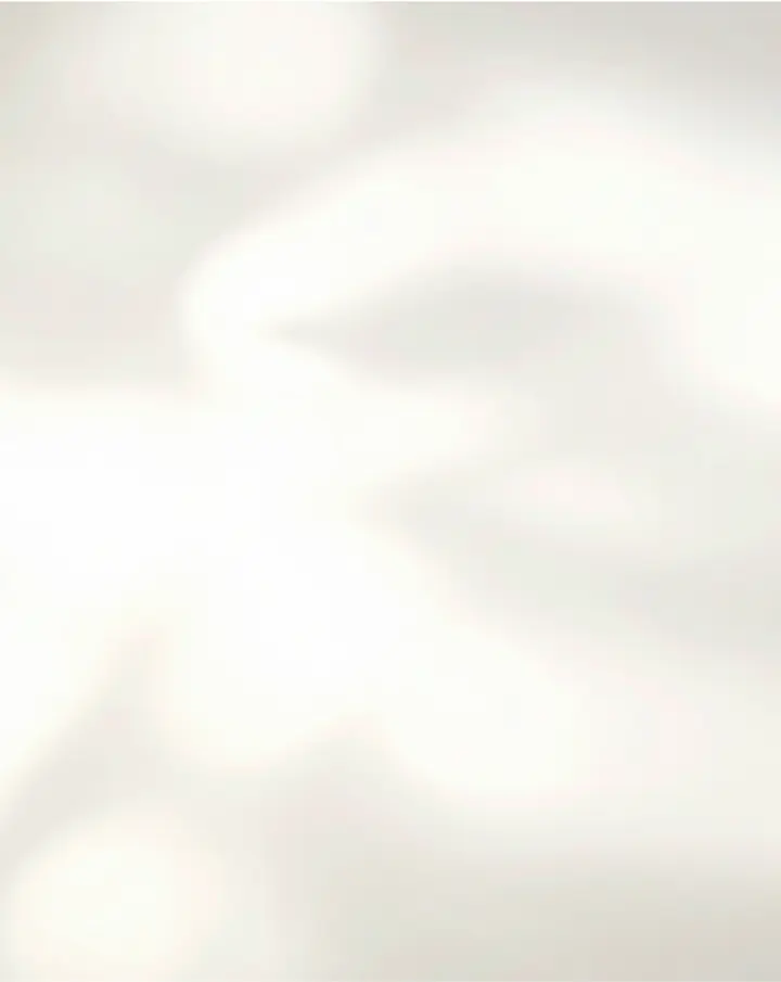 Cream Shadow background.webp