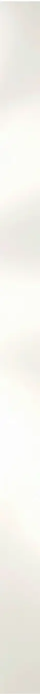 Cream Shadow background.webp