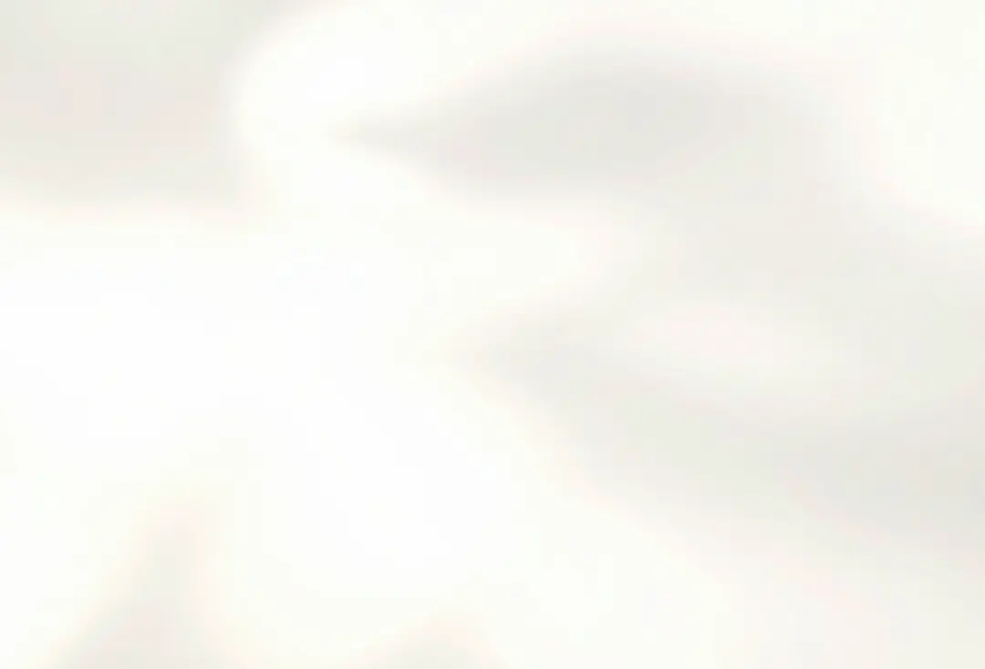 Cream Shadow background.webp