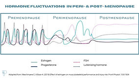 Hormone fluctuations in Erie and post menopause