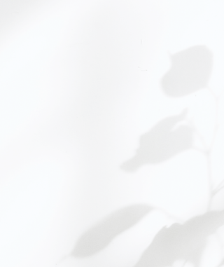 Shadows on the Wall_edited.png