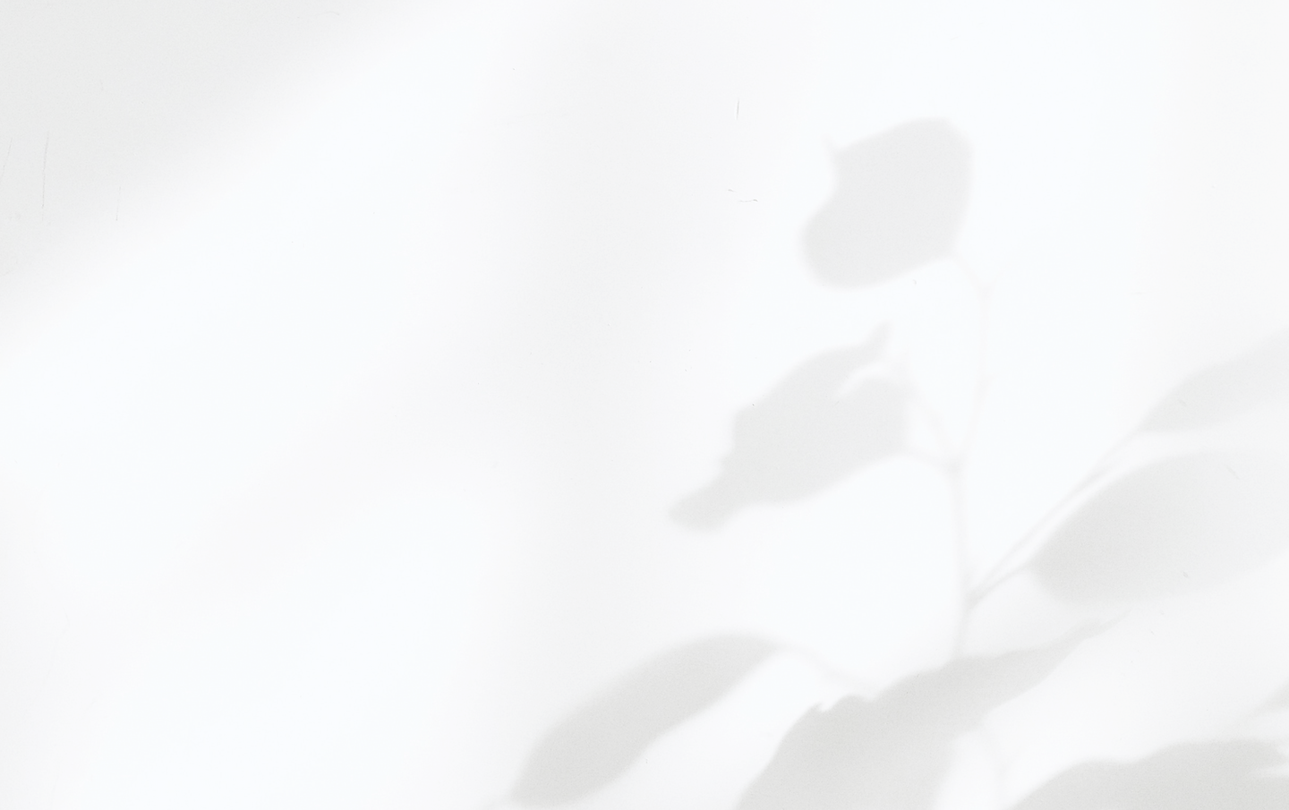 Shadows on the Wall_edited.png