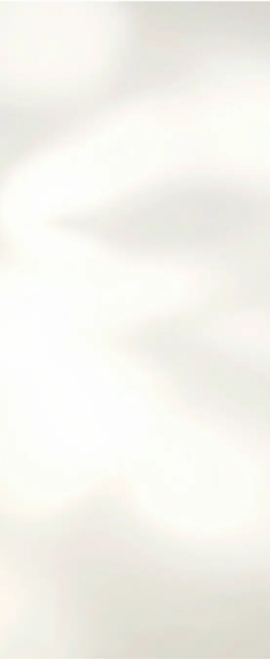 Cream Shadow background.webp