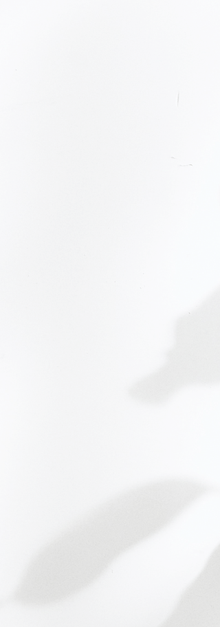 Shadows on the Wall_edited.png