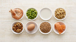 Choosing your protein source