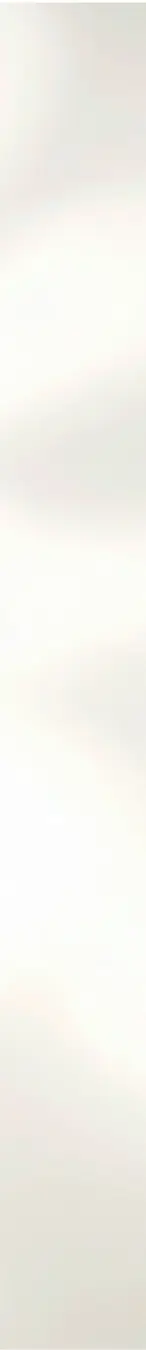 Cream Shadow background.webp