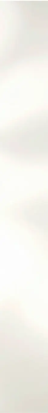 Cream Shadow background.webp