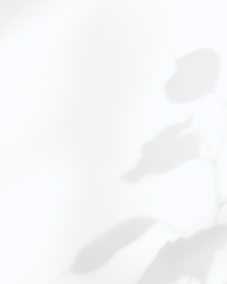 Shadows on the Wall_edited.png